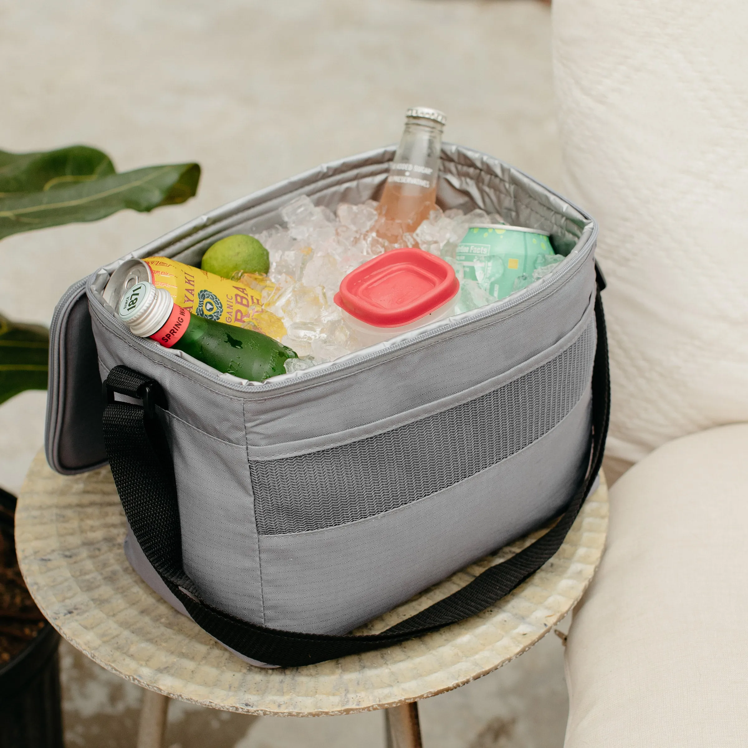 Basics Collapse & Cool 12-Can Cooler Bag
